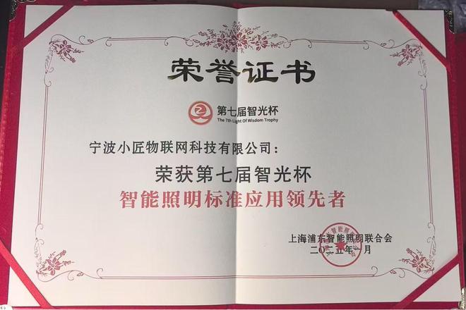 项推动智能照明行业迈向新高度AG真人小匠物联荣获智光杯奖(图2)