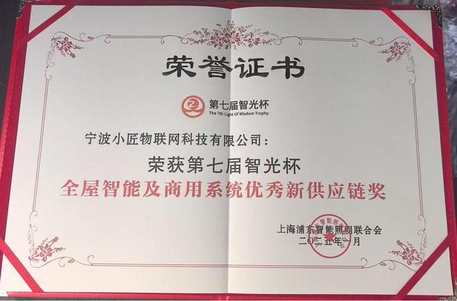 项推动智能照明行业迈向新高度AG真人小匠物联荣获智光杯奖(图4)