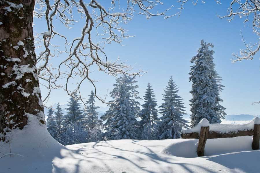 家居安装量年增百分之三十AG真人澳门百家